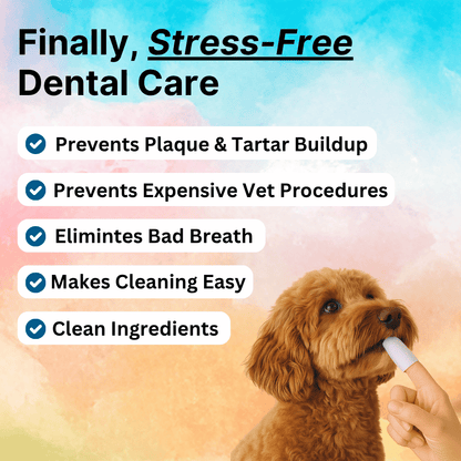 Teeth Cleaning Wipes