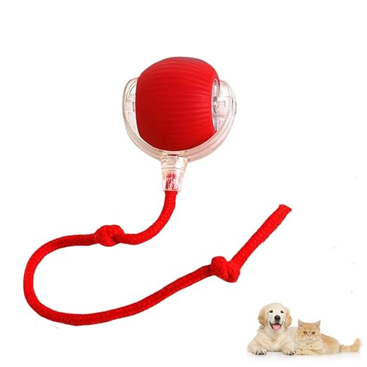 Automatic Dog Walker