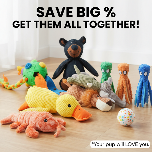 The Ultimate Toy Variety Pack