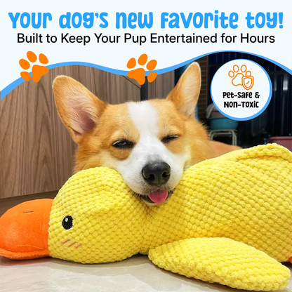 Durable Duck | The Anxiety-Relief Toy Dogs Can’t Destroy