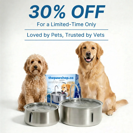 HydroPaws™ - The Smart Filtered Dog Fountain