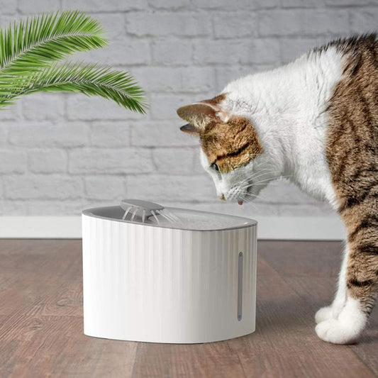 Automatic LED Filtered Cat Water Fountain