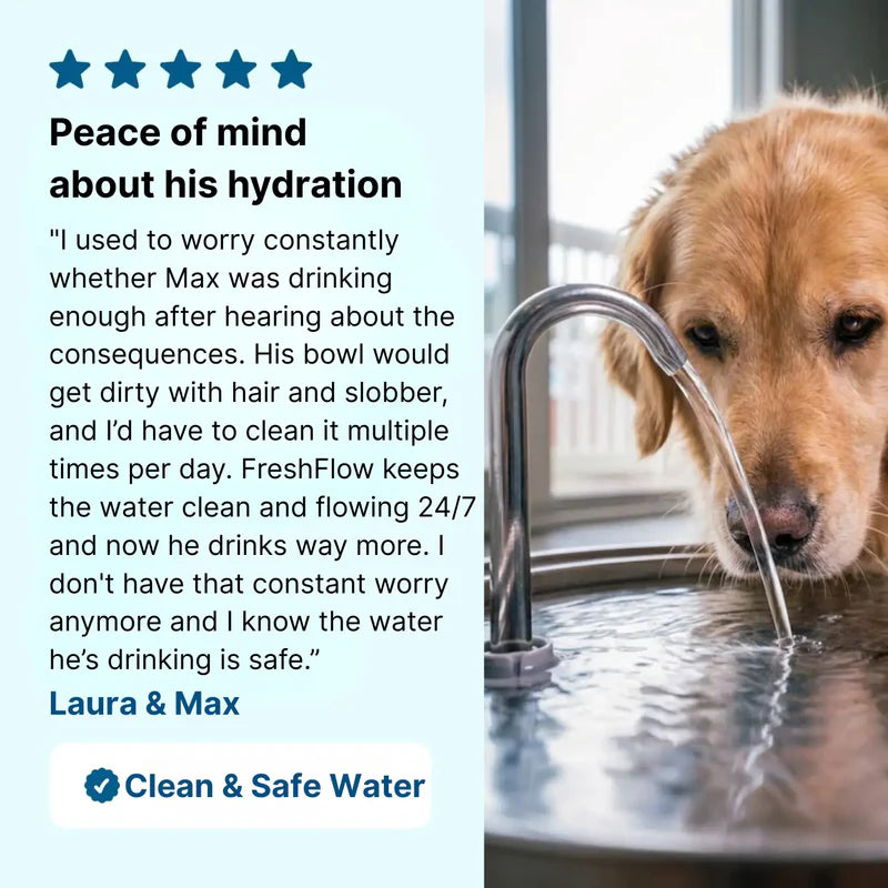 HydroPaws™ - The Smart Filtered Dog Fountain
