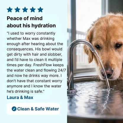 HydroPaws™ - The Smart Filtered Dog Fountain