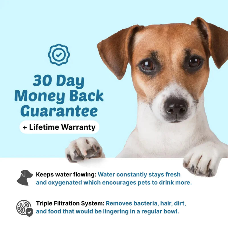 HydroPaws™ - The Smart Filtered Dog Fountain