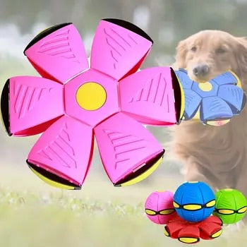Flying Saucer Doggy Disc Ball